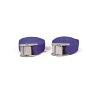 A pair of 2.5 metre Buckle Straps