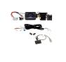 Ducato Steering Wheel Control Interface