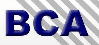 BCA Electrical Group