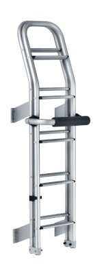 Thule 10 Step Ladder