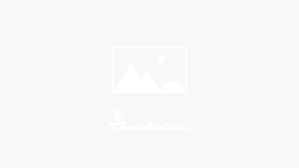 Isabella Zinox A-rafter pole Canopy and Awning