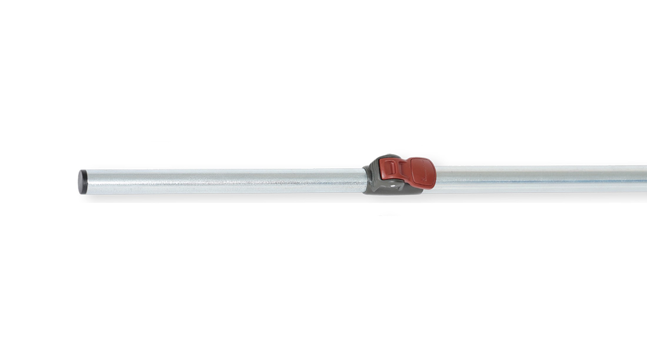 Isabella Zinox B-Pole excl CM T-Rex