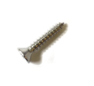 Awning Rail Screws - 10 Pack