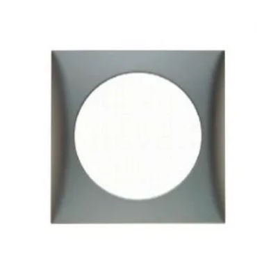 Berker Single Frame Matt Chrome