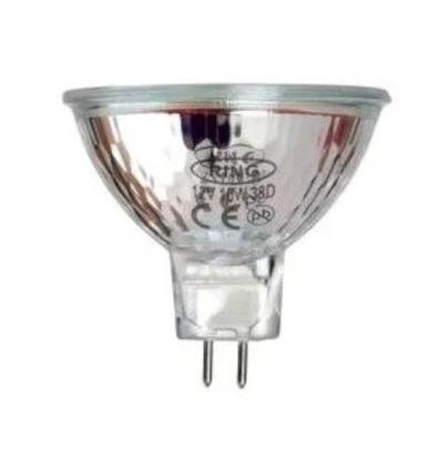 Ring Zoe Light Spare Bulb