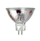 Ring Zoe Light Spare Bulb