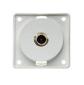 Berker TV Aerial Point White