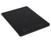 Mestic Induction Cooktop MIC-120