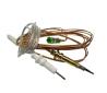 Thetford Thermocouple 1130mm & Electrode 920mm