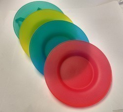Plastic Plates - Set of 4