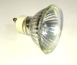 230 Volt Halogen Bulb - 20 Watt Twist Lock Base