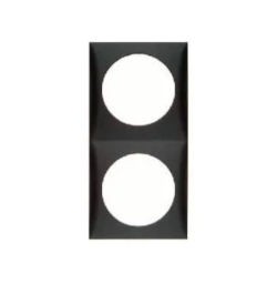 Berker Double Socket Frame Anthracite