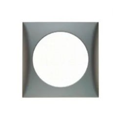 Berker Single Frame Matt Chrome