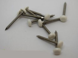 Polytop Pins Stainless Steel 1" 25mm